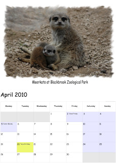 Example monthly template with image inserted. I took this photograph with a Nikon D70 DSLR.